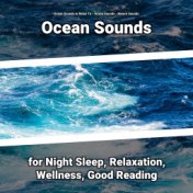 Ocean Sounds for Night Sleep, Relaxation, Wellness, Good Reading