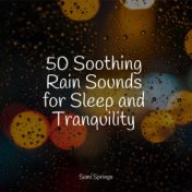 50 Soothing Rain Sounds for Sleep and Tranquility