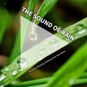 #01 The Sound of Rain for Sleep, Relaxing, Studying, Next-Door Noise