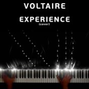 Experience (Cover)