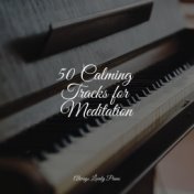 50 Calming Tracks for Meditation