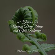 50 Tracks for Instant Deep Sleep and Chill Ambience