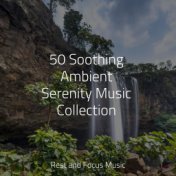 50 Soothing Ambient Serenity Music Collection