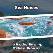 Sea Noises for Napping, Relaxing, Wellness, Recovery