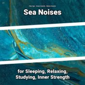 z Z Sea Noises for Sleeping, Relaxing, Studying, Inner Strength