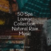 50 Spa Lounge Collection: Natural Rain Music