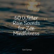50 Winter Rain Sounds for Zen Mindfulness