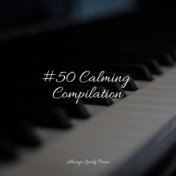 #50 Calming Compilation
