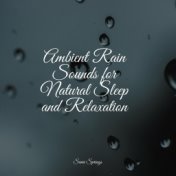 Ambient Rain Sounds for Natural Sleep and Relaxation