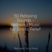 50 Relaxing Sounds - Relaxing Music for Stress Relief