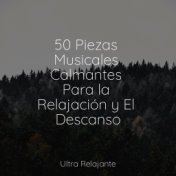 50 Piezas Musicales Calmantes Para la Relajación y El Descanso