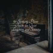 50 Soothing Piano Tracks for Quiet Listening and Serenity