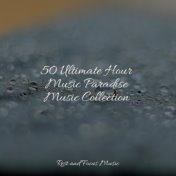 50 Ultimate Hour Music Paradise Music Collection