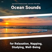 z Z z Ocean Sounds for Relaxation, Napping, Studying, Well-Being