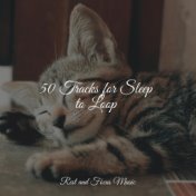 50 Tracks for Sleep to Loop