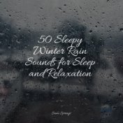 50 Sleepy Winter Rain Sounds for Sleep and Relaxation