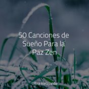 50 Canciones de Sueño Para la Paz Zen