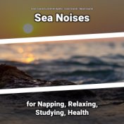 Sea Noises for Napping, Relaxing, Studying, Health
