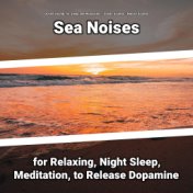 Sea Noises for Relaxing, Night Sleep, Meditation, to Release Dopamine