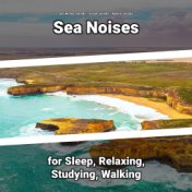 Sea Noises for Sleep, Relaxing, Studying, Walking
