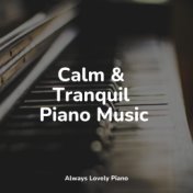 Calm & Tranquil Piano Music