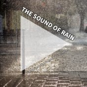 #01 The Sound of Rain for Relaxation, Napping, Studying, Migraine Treatment