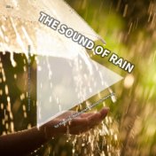 #01 The Sound of Rain for Napping, Relaxation, Wellness, Memory