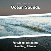 z Z z Ocean Sounds for Sleep, Relaxing, Reading, Fitness