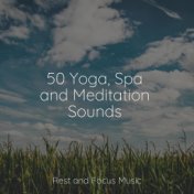 50 Yoga, Spa and Meditation Sounds