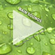 #01 Rain Sounds for Relaxation, Night Sleep, Studying, to Release Endorphins