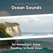 z Z z Ocean Sounds for Relaxation, Sleep, Reading, to Quiet Down