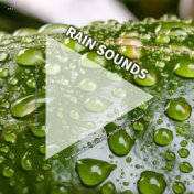 #01 Rain Sounds for Relaxation, Sleeping, Reading, the Shower