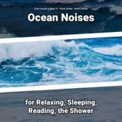 Ocean Noises for Relaxing, Sleeping, Reading, the Shower