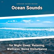 z Z Ocean Sounds for Night Sleep, Relaxing, Wellness, Noise Disturbance