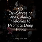 50 De-Stressing and Calming Melodies to Promote Deep Focus