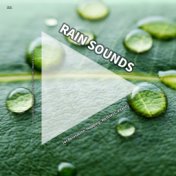 #01 Rain Sounds for Relaxation, Napping, Wellness, Vitality