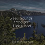 Sleep Sounds | Yoga and Meditation