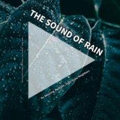 #01 The Sound of Rain for Relaxing, Bedtime, Yoga, Noisy Neighbors