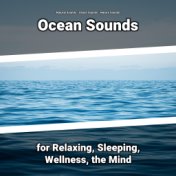 Ocean Sounds for Relaxing, Sleeping, Wellness, the Mind