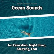 z Z Ocean Sounds for Relaxation, Night Sleep, Studying, Fear