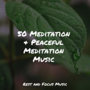 50 Meditation & Peaceful Meditation Music