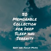 50 Memorable Collection for Deep Sleep and Serenity