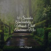 50 Sonidos Ambientales - Ultimate Chill Ambience Mix