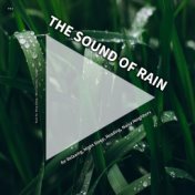 #01 The Sound of Rain for Relaxing, Night Sleep, Reading, Noisy Neighbors