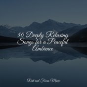50 Deeply Relaxing Songs for a Peaceful Ambience