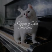 50 Classics to Calm Your Soul