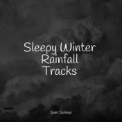 Sleepy Winter Rainfall Tracks