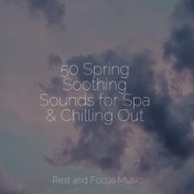 50 Spring Soothing Sounds for Spa & Chilling Out