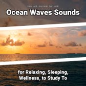 z Z Ocean Waves Sounds for Relaxing, Sleeping, Wellness, to Study To