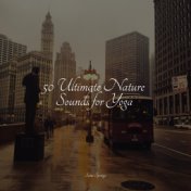 50 Ultimate Nature Sounds for Yoga